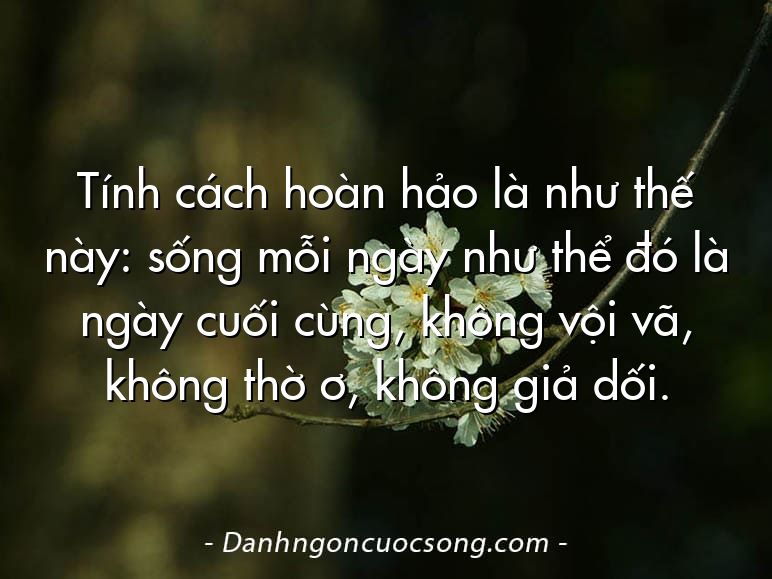 Tính cách hoàn hảo là như thế này: sống mỗi ngày như thể đó là ngày cuối cùng, không vội vã, không thờ ơ, không giả dối.