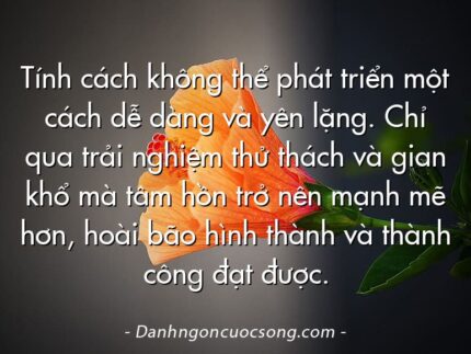 Tính cách không thể phát triển một cách dễ dàng và yên lặng. Chỉ qua trải nghiệm thử thách và gian khổ mà tâm hồn trở nên mạnh mẽ hơn, hoài bão hình thành và thành công đạt được.