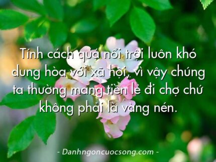 Tính cách quá nổi trội luôn khó dung hòa với xã hội, vì vậy chúng ta thường mang tiền lẻ đi chợ chứ không phải là vàng nén.