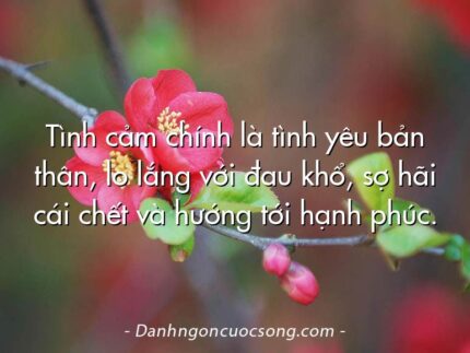 Tình cảm chính là tình yêu bản thân, lo lắng với đau khổ, sợ hãi cái chết và hướng tới hạnh phúc.