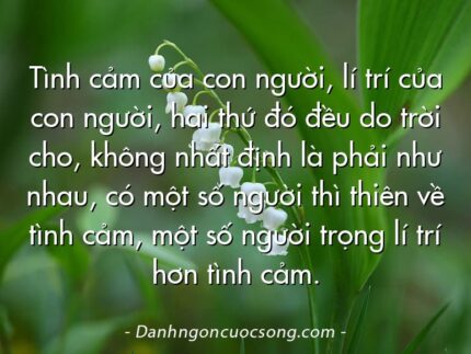 Tình cảm của con người, lí trí của con người, hai thứ đó đều do trời cho, không nhất định là phải như nhau, có một số người thì thiên về tình cảm, một số người trọng lí trí hơn tình cảm.