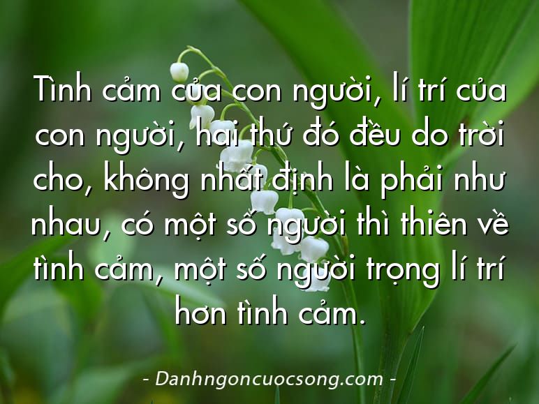 Tình cảm của con người, lí trí của con người, hai thứ đó đều do trời cho, không nhất định là phải như nhau, có một số người thì thiên về tình cảm, một số người trọng lí trí hơn tình cảm.