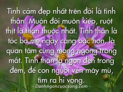 Tình cảm đẹp nhất trên đời là tình thân. Muôn đời muôn kiếp, ruột thịt là thân thuộc nhất. Tình thân là tóc ba mẹ ngày càng bạc hơn, là quan tâm cùng mong ngóng trong mắt. Tình thân là ngọn đèn trong đêm, để con người vén mây mù, tìm ra hi vọng.