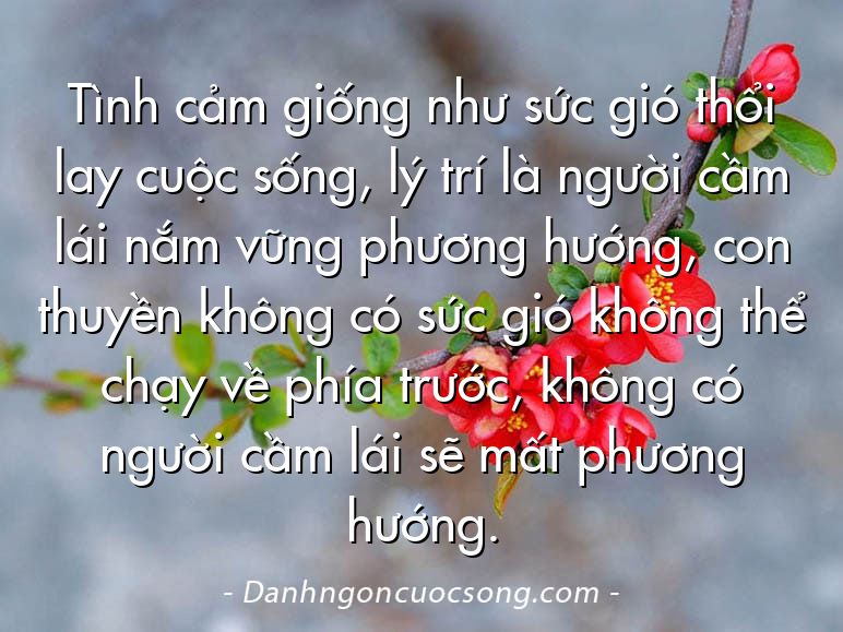Tình cảm giống như sức gió thổi lay cuộc sống, lý trí là người cầm lái nắm vững phương hướng, con thuyền không có sức gió không thể chạy về phía trước, không có người cầm lái sẽ mất phương hướng.