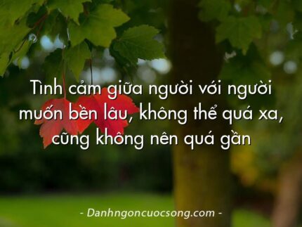 Tình cảm giữa người với người muốn bền lâu, không thể quá xa, cũng không nên quá gần