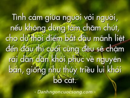 Tình cảm giữa người với người, nếu không dùng tâm chăm chút, cho dù thời điểm bắt đầu mãnh liệt đến đâu thì cuối cùng đều sẽ chậm rãi dần dần khôi phục về nguyên bản, giống như thủy triều lui khỏi bờ cát.