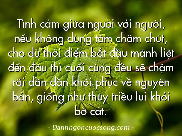 Tình cảm giữa người với người, nếu không dùng tâm chăm chút, cho dù thời điểm bắt đầu mãnh liệt đến đâu thì cuối cùng đều sẽ chậm rãi dần dần khôi phục về nguyên bản, giống như thủy triều lui khỏi bờ cát.