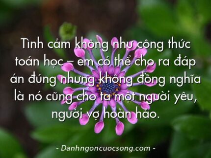 Tình cảm không như công thức toán học – em có thể cho ra đáp án đúng nhưng không đồng nghĩa là nó cũng cho ta một người yêu, người vợ hoàn hảo.