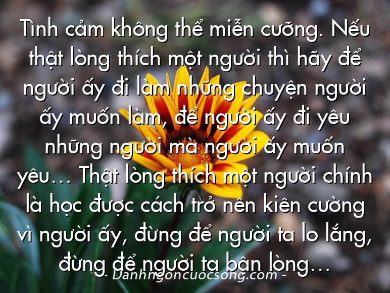 Tình cảm không thể miễn cưỡng. Nếu thật lòng thích một người thì hãy để người ấy đi làm những chuyện người ấy muốn làm, để người ấy đi yêu những người mà người ấy muốn yêu… Thật lòng thích một người chính là học được cách trở nên kiên cường vì người ấy, đừng để người ta lo lắng, đừng để người ta bận lòng…