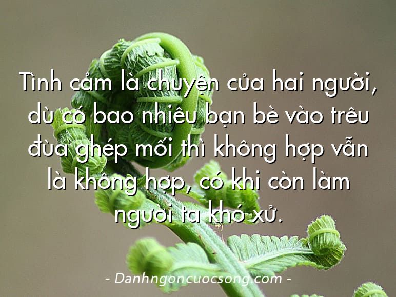 Tình cảm là chuyện của hai người, dù có bao nhiêu bạn bè vào trêu đùa ghép mối thì không hợp vẫn là không hợp, có khi còn làm người ta khó xử.