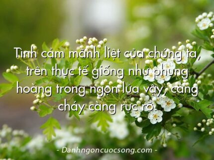 Tình cảm mãnh liệt của chúng ta, trên thực tế giống như phụng hoàng trong ngọn lửa vậy, càng cháy càng rực rỡ.
