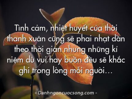 Tình cảm, nhiệt huyết của thời thanh xuân cũng sẽ phai nhạt dần theo thời gian nhưng những kỉ niệm dù vui hay buồn đều sẽ khắc ghi trong lòng mỗi người…