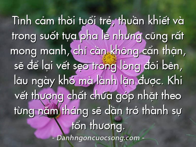 Tình cảm thời tuổi trẻ, thuần khiết và trong suốt tựa pha lê nhưng cũng rất mong manh, chỉ cần không cẩn thận, sẽ để lại vết sẹo trong lòng đôi bên, lâu ngày khó mà lành lặn được. Khi vết thương chất chứa góp nhặt theo từng năm tháng sẽ dần trở thành sự tổn thương.