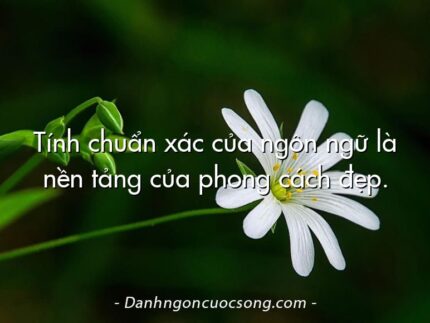 Tính chuẩn xác của ngôn ngữ là nền tảng của phong cách đẹp.