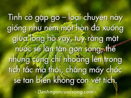 Tình cờ gặp gỡ – loại chuyện này giống như ném một hòn đá xuống giữa lòng hồ vậy, tuy rằng mặt nước sẽ lăn tăn gợn sóng, thế nhưng cũng chỉ nhoáng lên trong tích tắc mà thôi, chẳng mấy chốc sẽ tan biến không còn vết tích.