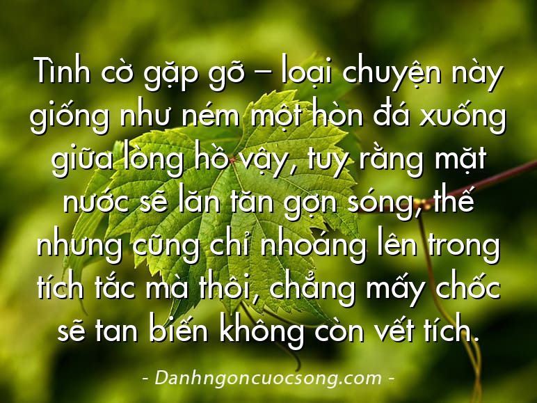Tình cờ gặp gỡ – loại chuyện này giống như ném một hòn đá xuống giữa lòng hồ vậy, tuy rằng mặt nước sẽ lăn tăn gợn sóng, thế nhưng cũng chỉ nhoáng lên trong tích tắc mà thôi, chẳng mấy chốc sẽ tan biến không còn vết tích.