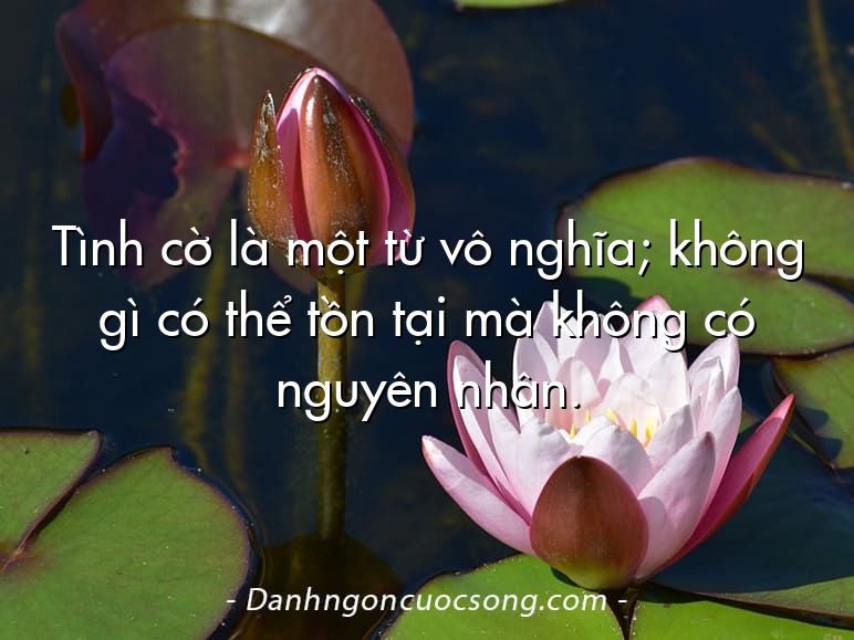 Tình cờ là một từ vô nghĩa; không gì có thể tồn tại mà không có nguyên nhân.