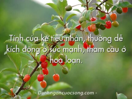 Tính của kẻ tiểu nhân, thường dễ kích động ở sức mạnh, tham cầu ở hoạ loạn.