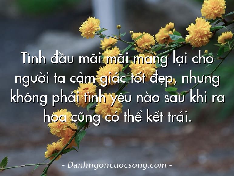 Tình đầu mãi mãi mang lại cho người ta cảm giác tốt đẹp, nhưng không phải tình yêu nào sau khi ra hoa cũng có thể kết trái.