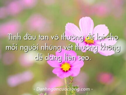 Tình đầu tan vỡ thường để lại cho mỗi người những vết thương không dễ dàng liền sẹo.