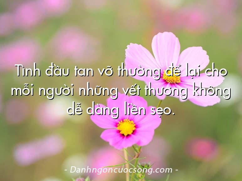 Tình đầu tan vỡ thường để lại cho mỗi người những vết thương không dễ dàng liền sẹo.