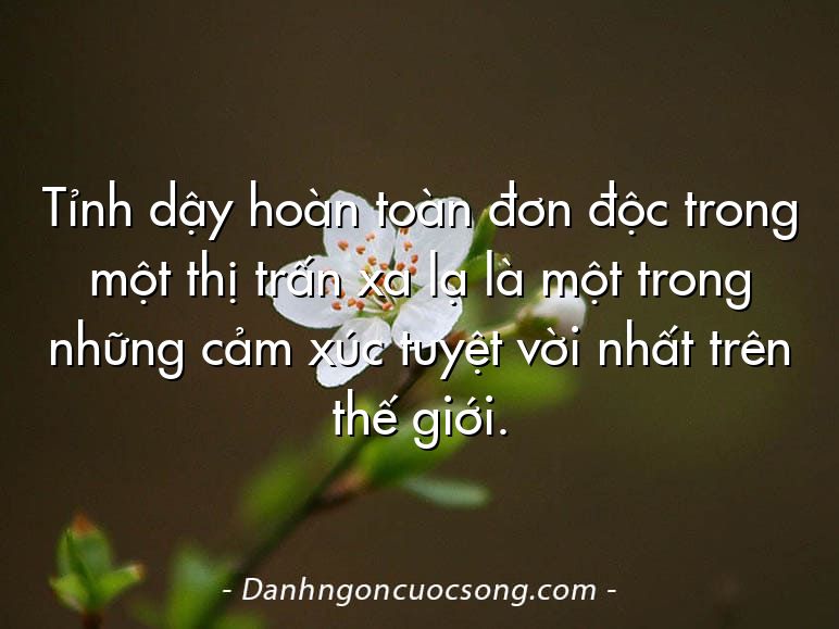 Tỉnh dậy hoàn toàn đơn độc trong một thị trấn xa lạ là một trong những cảm xúc tuyệt vời nhất trên thế giới.