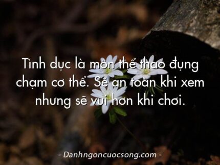 Tình dục là môn thể thao đụng chạm cơ thể. Sẽ an toàn khi xem nhưng sẽ vui hơn khi chơi.