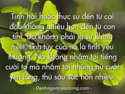 Tính hài hước thực sự đến từ cái đầu không nhiều hơn đến từ con tim. Đó không phải là sự khinh miệt, tinh túy của nó là tình yêu thương. Nó không nhắm tới tiếng cười to mà nhắm tới những nụ cười yên lặng, thứ sâu sắc hơn nhiều.