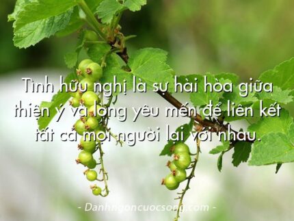 Tình hữu nghị là sự hài hòa giữa thiện ý và lòng yêu mến để liên kết tất cả mọi người lại với nhau.