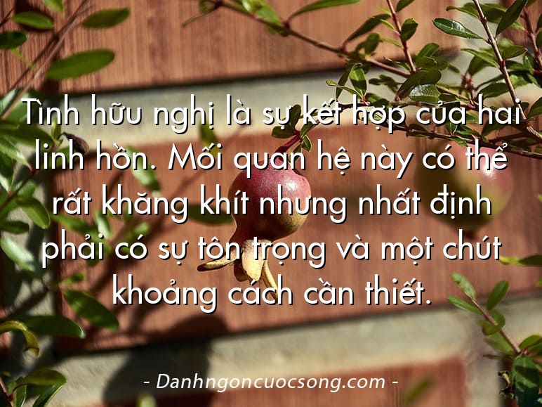 Tình hữu nghị là sự kết hợp của hai linh hồn. Mối quan hệ này có thể rất khăng khít nhưng nhất định phải có sự tôn trọng và một chút khoảng cách cần thiết.