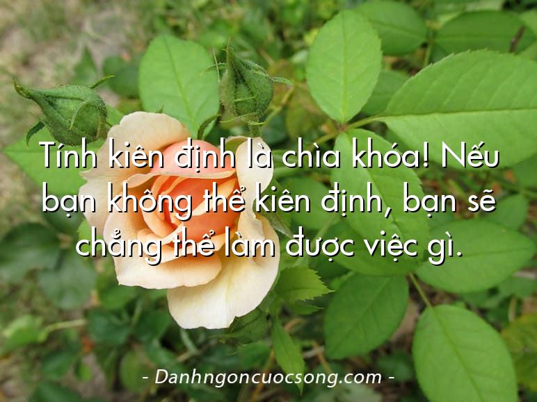 Tính kiên định là chìa khóa! Nếu bạn không thể kiên định, bạn sẽ chẳng thể làm được việc gì.