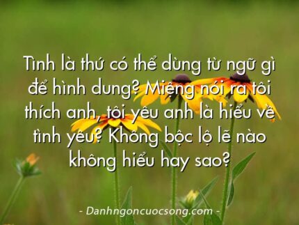 Tình là thứ có thể dùng từ ngữ gì để hình dung? Miệng nói ra tôi thích anh, tôi yêu anh là hiểu về tình yêu? Không bộc lộ lẽ nào không hiểu hay sao?
