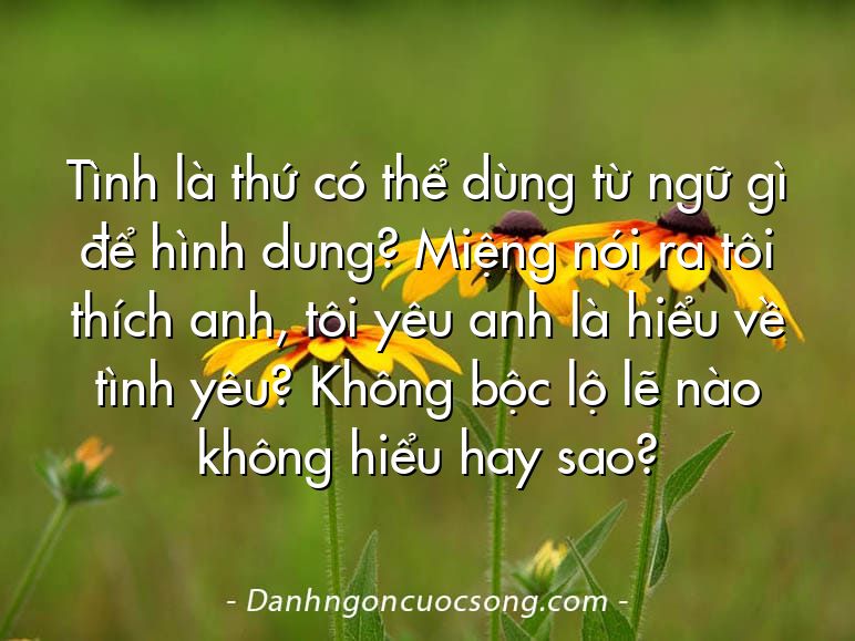 Tình là thứ có thể dùng từ ngữ gì để hình dung? Miệng nói ra tôi thích anh, tôi yêu anh là hiểu về tình yêu? Không bộc lộ lẽ nào không hiểu hay sao?