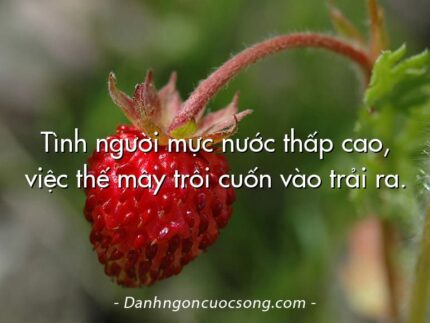 Tình người mực nước thấp cao, việc thế mây trôi cuốn vào trải ra.
