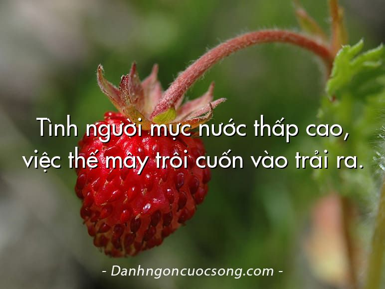 Tình người mực nước thấp cao, việc thế mây trôi cuốn vào trải ra.