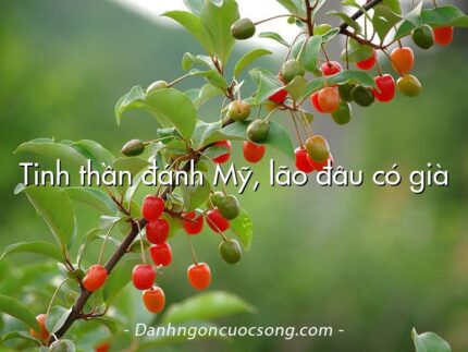 Tinh thần đánh Mỹ, lão đâu có già