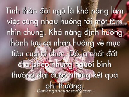 Tinh thần đội ngũ là khả năng làm việc cùng nhau hướng tới một tầm nhìn chung. Khả năng định hướng thành tựu cá nhân hướng về mục tiêu của tổ chức. Đó là chất đốt cho phép những người bình thường đạt được những kết quả phi thường.