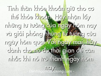 Tinh thần khỏe khoắn giữ cho cơ thể khỏe khoắn. Hãy nhận lấy những tư tưởng của ngày hôm nay và giải phóng những tư tưởng của ngày hôm qua. Với ngày mai, hãy dành cho nó đủ thời gian để cân nhắc khi nó trở thành ngày hôm nay.