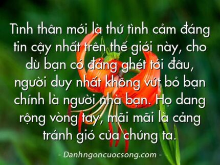 Tình thân mới là thứ tình cảm đáng tin cậy nhất trên thế giới này, cho dù bạn có đáng ghét tới đâu, người duy nhất không vứt bỏ bạn chính là người nhà bạn. Họ dang rộng vòng tay, mãi mãi là cảng tránh gió của chúng ta.