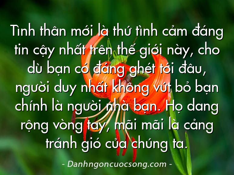 Tình thân mới là thứ tình cảm đáng tin cậy nhất trên thế giới này, cho dù bạn có đáng ghét tới đâu, người duy nhất không vứt bỏ bạn chính là người nhà bạn. Họ dang rộng vòng tay, mãi mãi là cảng tránh gió của chúng ta.