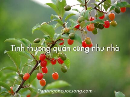 Tình thương quán cũng như nhà