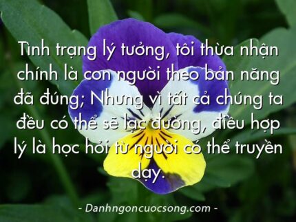 Tình trạng lý tưởng, tôi thừa nhận chính là con người theo bản năng đã đúng; Nhưng vì tất cả chúng ta đều có thể sẽ lạc đường, điều hợp lý là học hỏi từ người có thể truyền dạy.