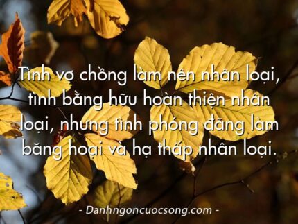 Tình vợ chồng làm nên nhân loại, tình bằng hữu hoàn thiện nhân loại, nhưng tình phóng đãng làm băng hoại và hạ thấp nhân loại.