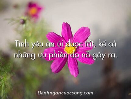 Tình yêu an ủi được tất, kể cả những ưu phiền do nó gây ra.