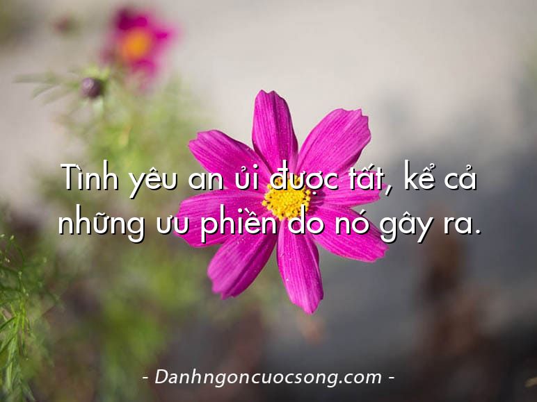 Tình yêu an ủi được tất, kể cả những ưu phiền do nó gây ra.
