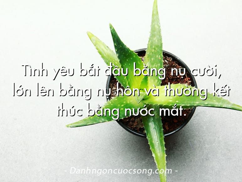 Tình yêu bắt đầu bằng nụ cười, lớn lên bằng nụ hôn và thường kết thúc bằng nước mắt.