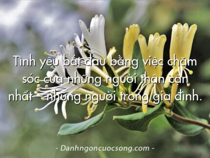 Tình yêu bắt đầu bằng việc chăm sóc của những người thân cận nhất – những người trong gia đình.