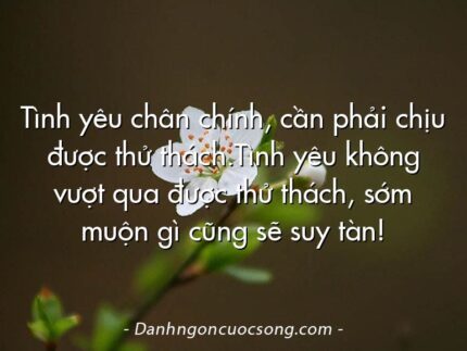 Tình yêu chân chính, cần phải chịu được thử thách.Tình yêu không vượt qua được thử thách, sớm muộn gì cũng sẽ suy tàn!
