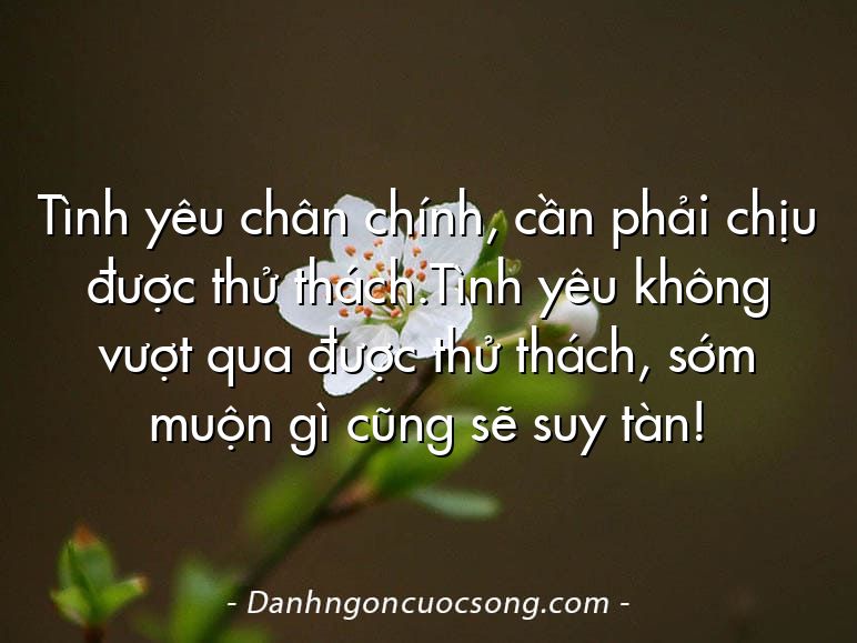 Tình yêu chân chính, cần phải chịu được thử thách.Tình yêu không vượt qua được thử thách, sớm muộn gì cũng sẽ suy tàn!