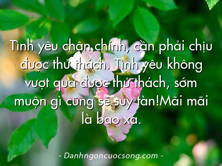 Tình yêu chân chính, cần phải chịu được thử thách. Tình yêu không vượt qua được thử thách, sớm muộn gì cũng sẽ suy tàn!Mãi mãi là bao xa.